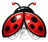 Buglady