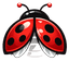 Buglady